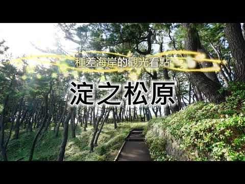 陸奧潮風步道「淀之松原」