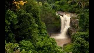 Morgan James - Say the Words