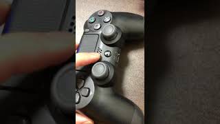 実写動画！