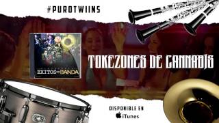 El Komander - Tokezones de cannabis (Álbum Éxitos Con B