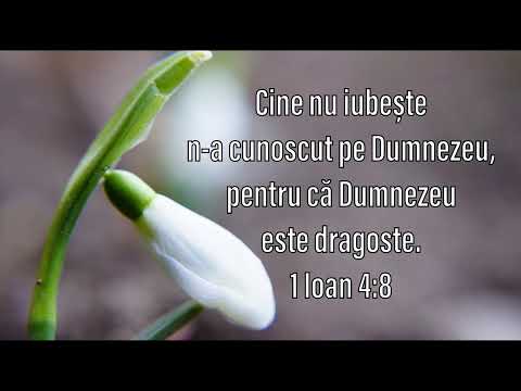 Serviciu divin din 26 Martie 2020 - Seara