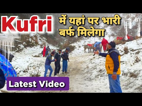 Tourists enjoy Kufri Shimla Snowfall | Kufri Latest Snowfall | Kufri Snowfall #shimla
