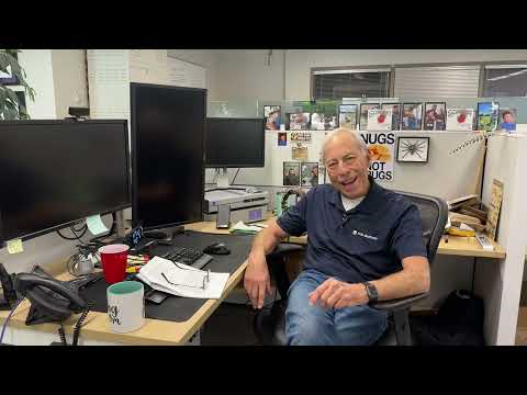 Are DSD copies as good as analog?