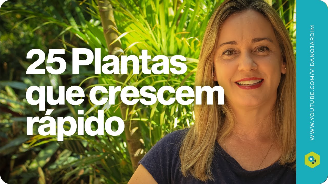25 PLANTAS que CRESCEM RÁPIDO (Forrações, arbustos, plantas anuais, pendentes e árvores)