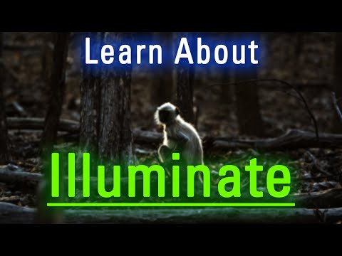 What is Illuminate? | How to Say Illuminate in English? | How Does Illuminate Look?