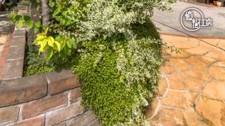 ビフォー アフター 失敗 動画 تنزيل الموسيقى Mp3 مجانا