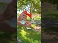 Airhorn Vs Glass