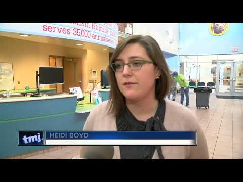 Petition to include animals in food stamps