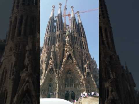 24 בינואר 2017