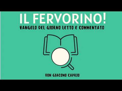 IL FERVORINO! Mt 21,10-17 [Il Centro]