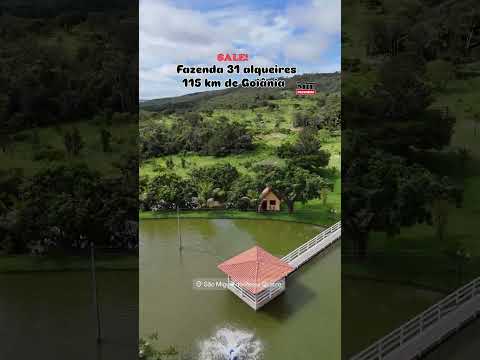 Paraíso Particular a venda!!! Fazenda 31 alqueires São Miguel do Passa Quatro-GO #fazendaavenda