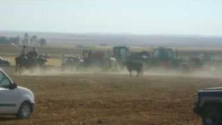 preview picture of video 'encierro por el campo 2009 Villarrin de Campos(cristo)'