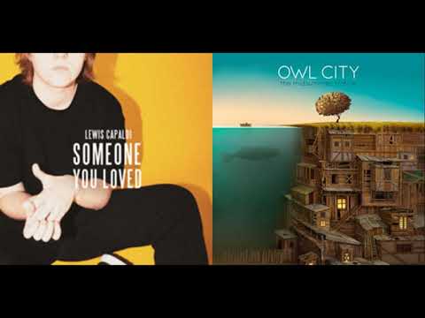 Someone Who Took Love Away (Mashup) | Lewis Capaldi & Owl City Song Mashup