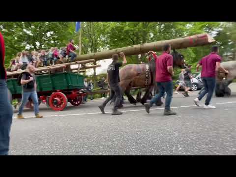 Mei-Den Halen Mheer 2022 (4/4)