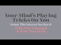 Wesley Stace - Your Mind's Playing Tricks on You (Secret Series)