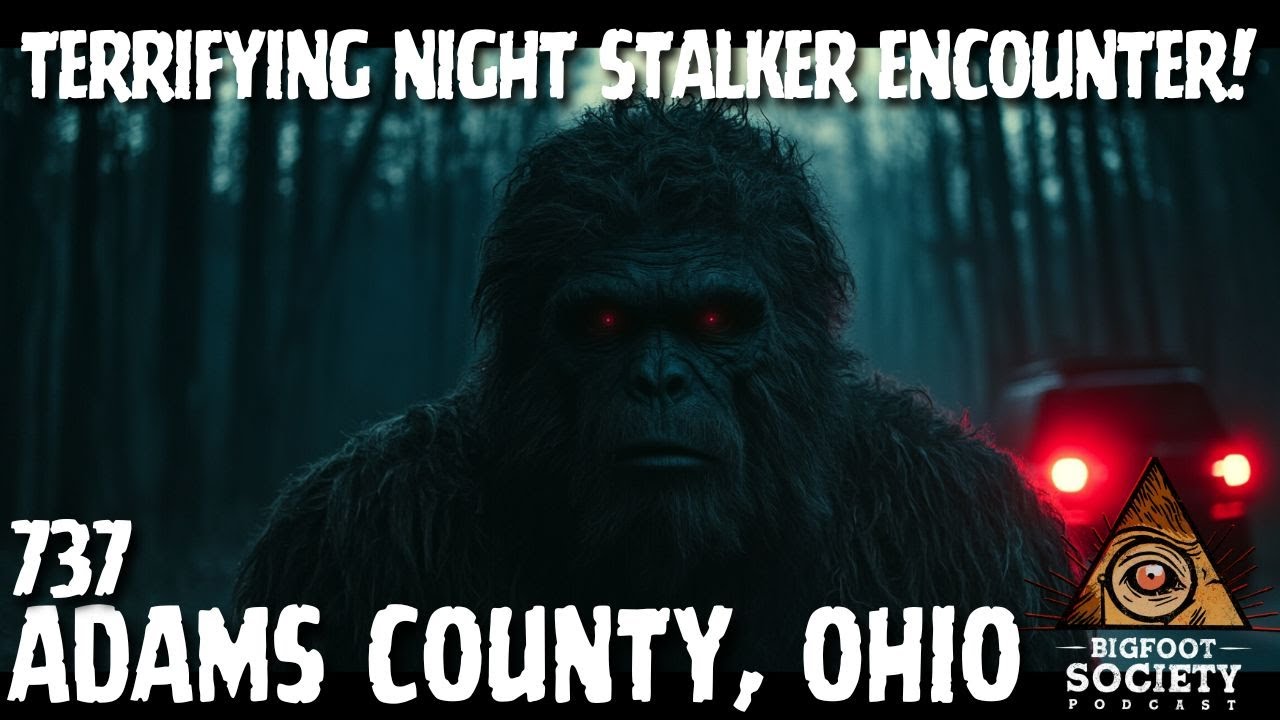 The Ohio Nite Stalkers!
