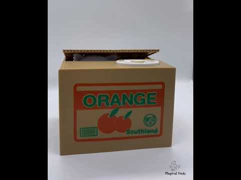 WhatsApp Video 2021 01 26 at 7 30 14 PM 1