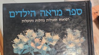 הקדמת ספר מראה הילדים ומעלת טבריה וקצת עניינים