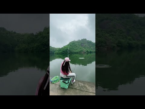 Cô gái đánh cá châu Á tuyệt đẹp 🐟 #shorts