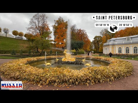 The Grand Peterhof Palace: The Golden Tortoise Water Fountain