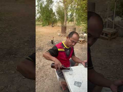 บ่ได้กินด่อกข่อย #funny #fypシ #comedy #ตลก