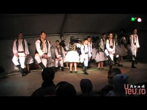 Ansamblul Armonia Muresseana din Sambateni - Arad 2008