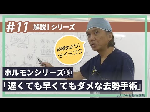 去勢について詳しく解説