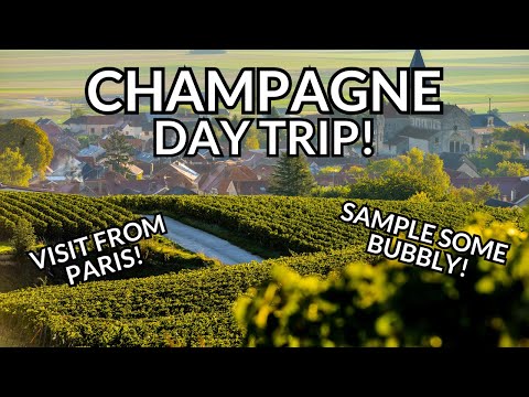 The PERFECT Champagne Day Trip from Paris: One Day Itinerary