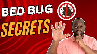 5 SECRETS to Getting Rid of Bed Bugs