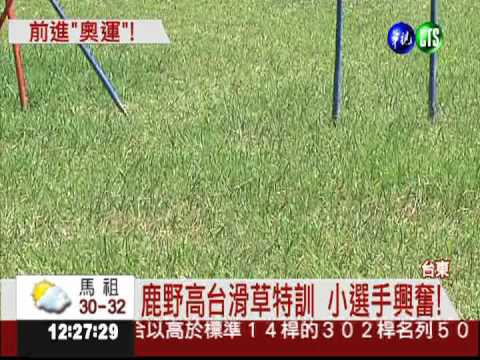 鹿野高台滑草 大小朋友玩瘋了!