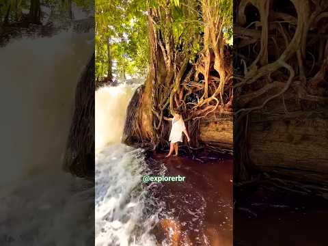 Conheça as Cachoeiras de Presidente Figueiredo. #presidentefigueiredo  #cachoeiras #amazonia #grutas