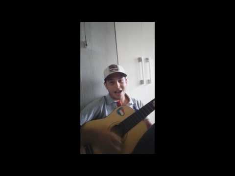 Veterano - Beleza e Maravilha (Cover)