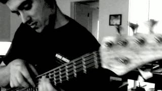 Bad Hair Day - Michael Manring