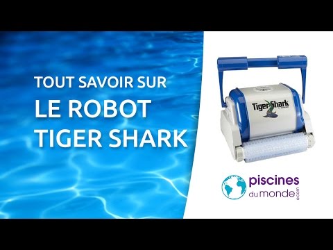 Tout savoir sur le Tiger Shark