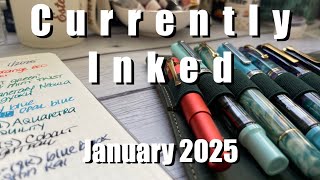 it's Deja Vu! January 2025 #CurrentlyInked Pens! Esterbrook, Pelikan, TWSBI Leonardo and Hongdian!
