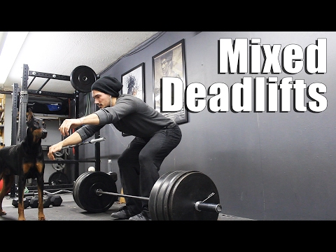 Sumo and Conventional Deadlifts w/ Doberman Spotter Video