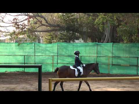 2019 3IQ 72 S CEC Tejesh Achin Chocolate EQB2