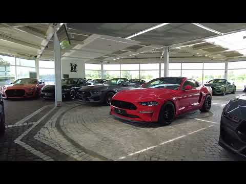 House-of-Mustang by HCC-International