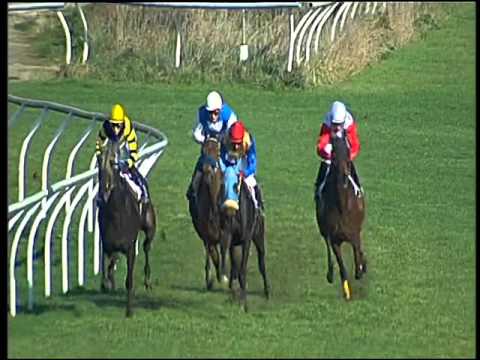 Galoppo 13/02/2016 - 2° corsa