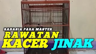 Download lagu SECRET!!! CARE GUIDE FOR TAME KACER BIRDS mp3 Download lagu SECRET!!! CARE GUIDE FOR TAME KACER BIRDS mp3