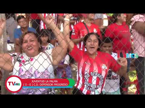 JUVENTUD LA PALMA Y DEFENSOR PROGRESO COPA PERÚ
