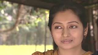 উন্নয়ন মেলা