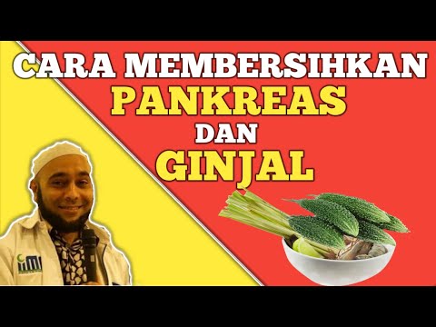, title : 'Cara Membersihkan Pankreas & Ginjal - dr Zaidul Akbar'