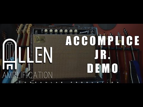 Allen Amplification Accomplice 2023 - Black tolex image 7