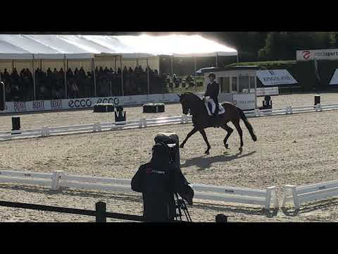 Fiontini and Andreas Helgstrand Grand Prix freestyle