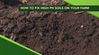 How to fix high pH soils on your farm (From Ag PhD Show #1115 - Air Date 8-18-19)