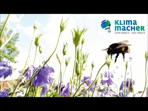 Artenvielfalt und Lebensräume unserer Erde