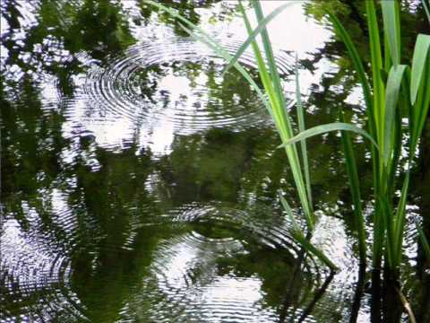 Selim Palmgren ~ Raindrops  Op. 54