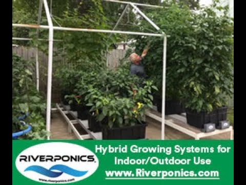 Bokashi Composting Method With Riverponics Growing Systems