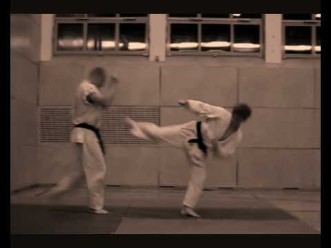 Austrian Sin Moo HapKiDo - Ex1